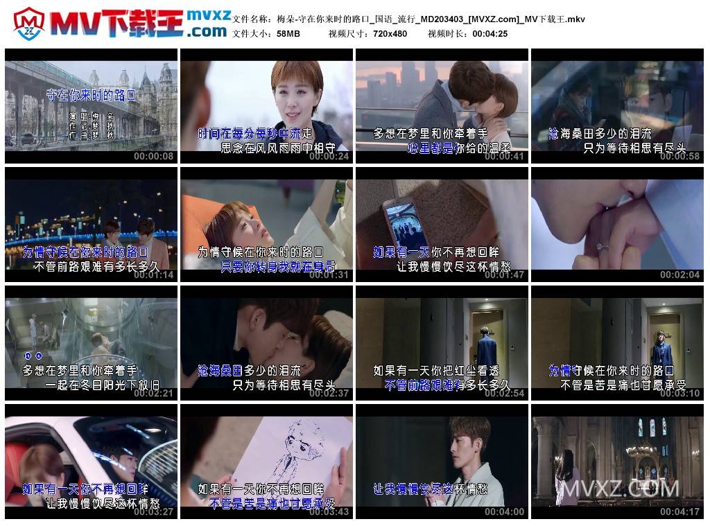 梅朵-守在你来时的路口_国语_流行_MD203403